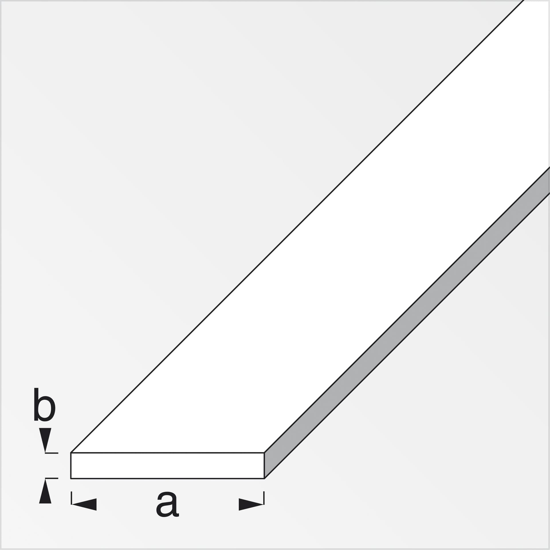 Profilo Bianco H 200 cm Piatto 30 x 2 mm 5 Pezzi - 2