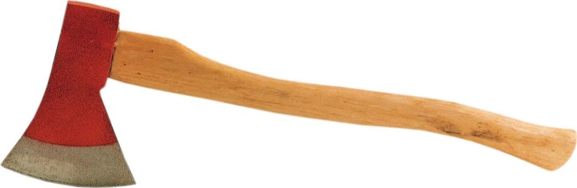 Scuretta con Manico 800 g 22450 - 2