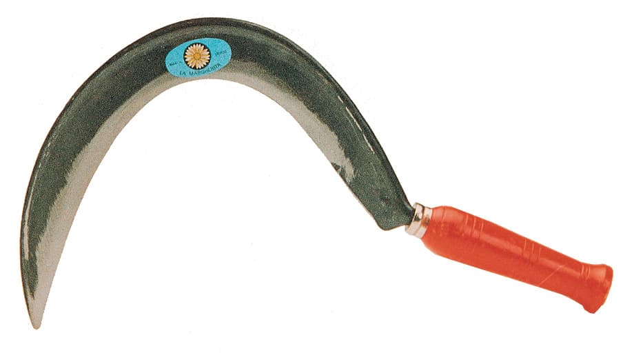Margherita Falciola 652 a 44 cm x 33 mm 0 - 2