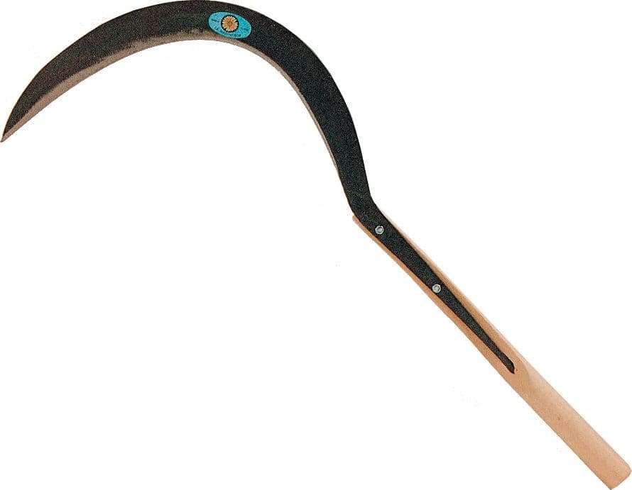 Margherita Seghezzo 776 al con Man 53 cm x 37 mm Falci - 2