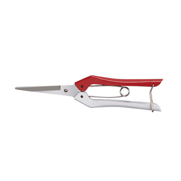 Forbici Coglifrutta Ideal Star 20 cm - 2