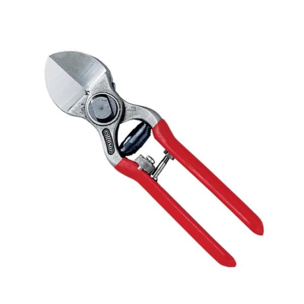 Forbici da Frutteto Ausonia 20 cm - 2