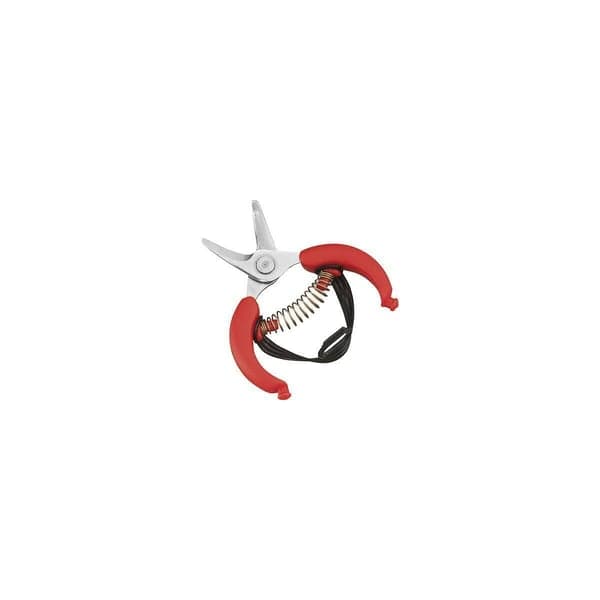 Forbici per Agrumi 10,5 Ausonia 10,5 cm - 2