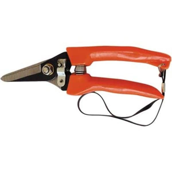 Forbici Coglifrutta e Ortaggi 18 cm - 2