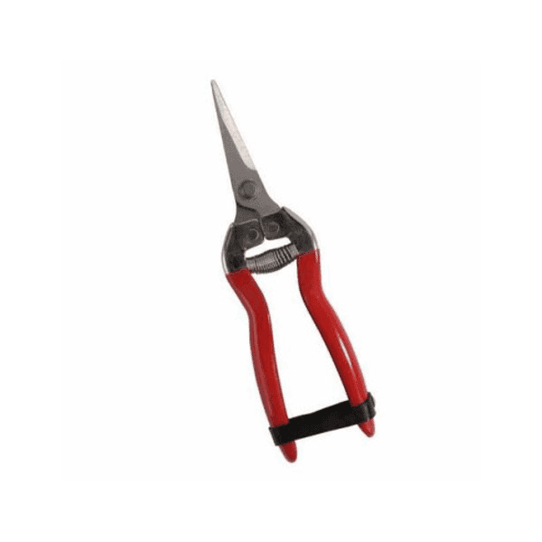 Forbici Cogliuva 16 Falci 16 cm - 2