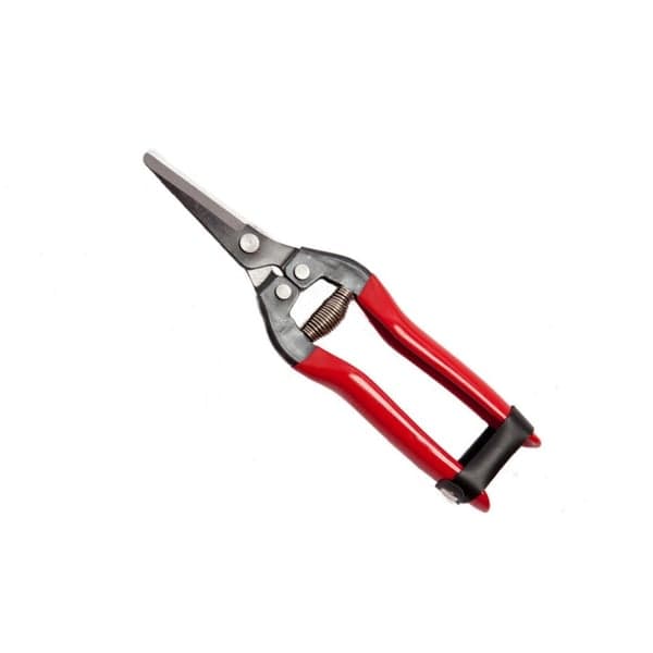 Forbici Cogliuva 19 Falci 19 cm - 2