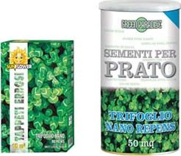 Semi Prato Trifoglio Nano 500 g per MQ.50 di Prato Franchi - 2