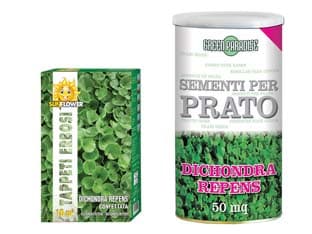 Semi Prato Dichondra Repens 500 g per MQ.50 di Prato Franchi - 2