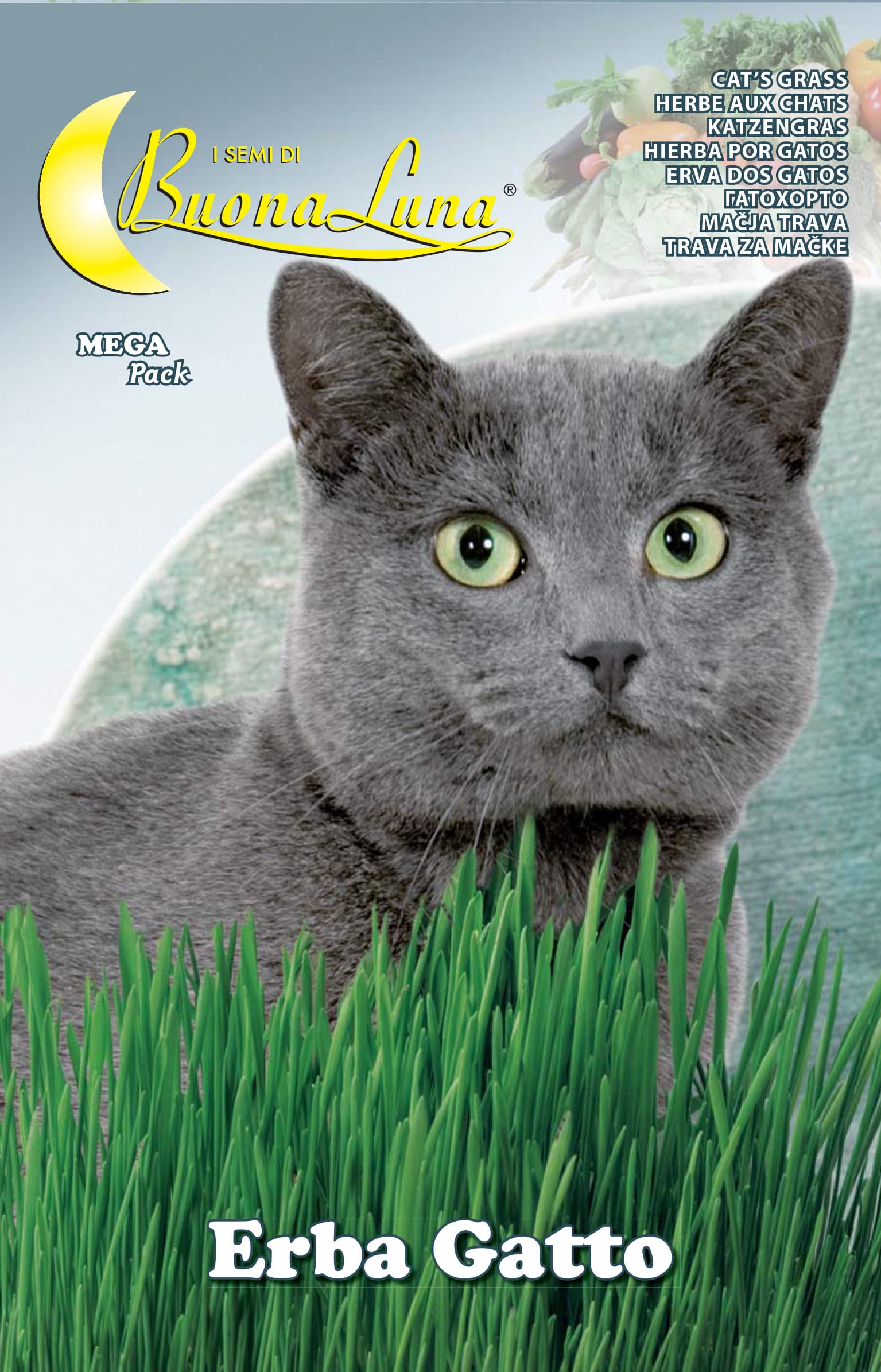 Semi Orto Erba Gatto Hortus Sementi 10 Pezzi - 2