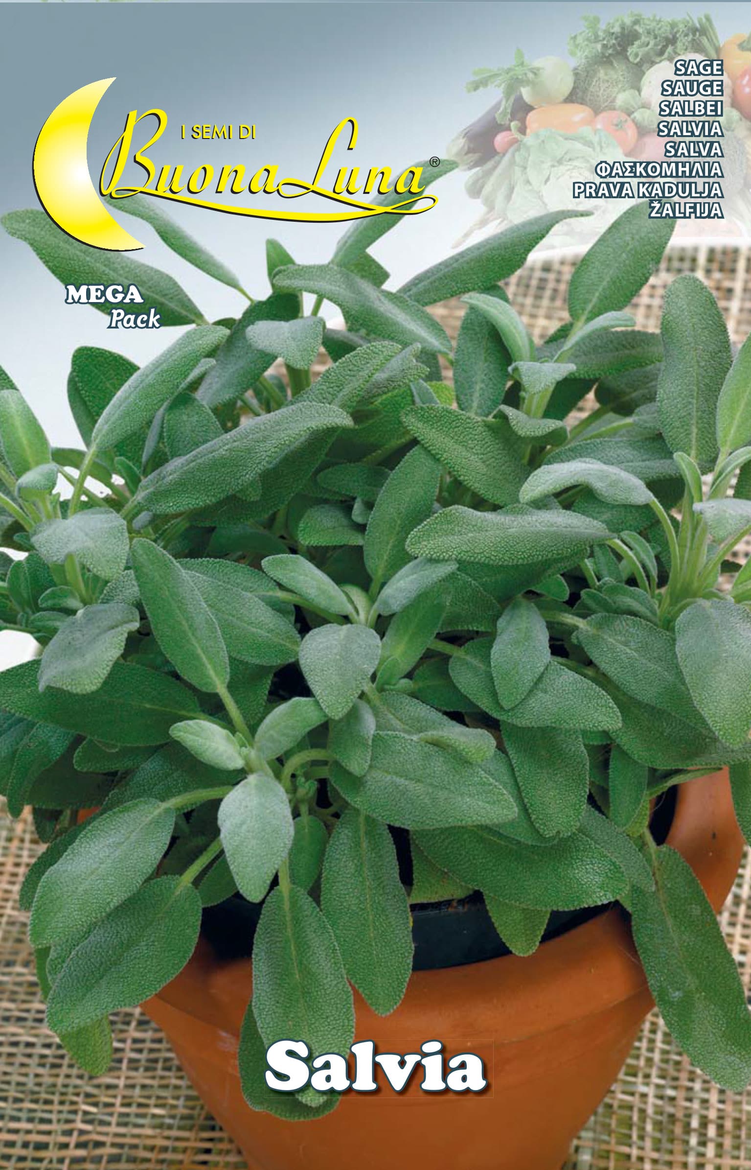Semi Orto Salvia Hortus Sementi 10 Pezzi - 2