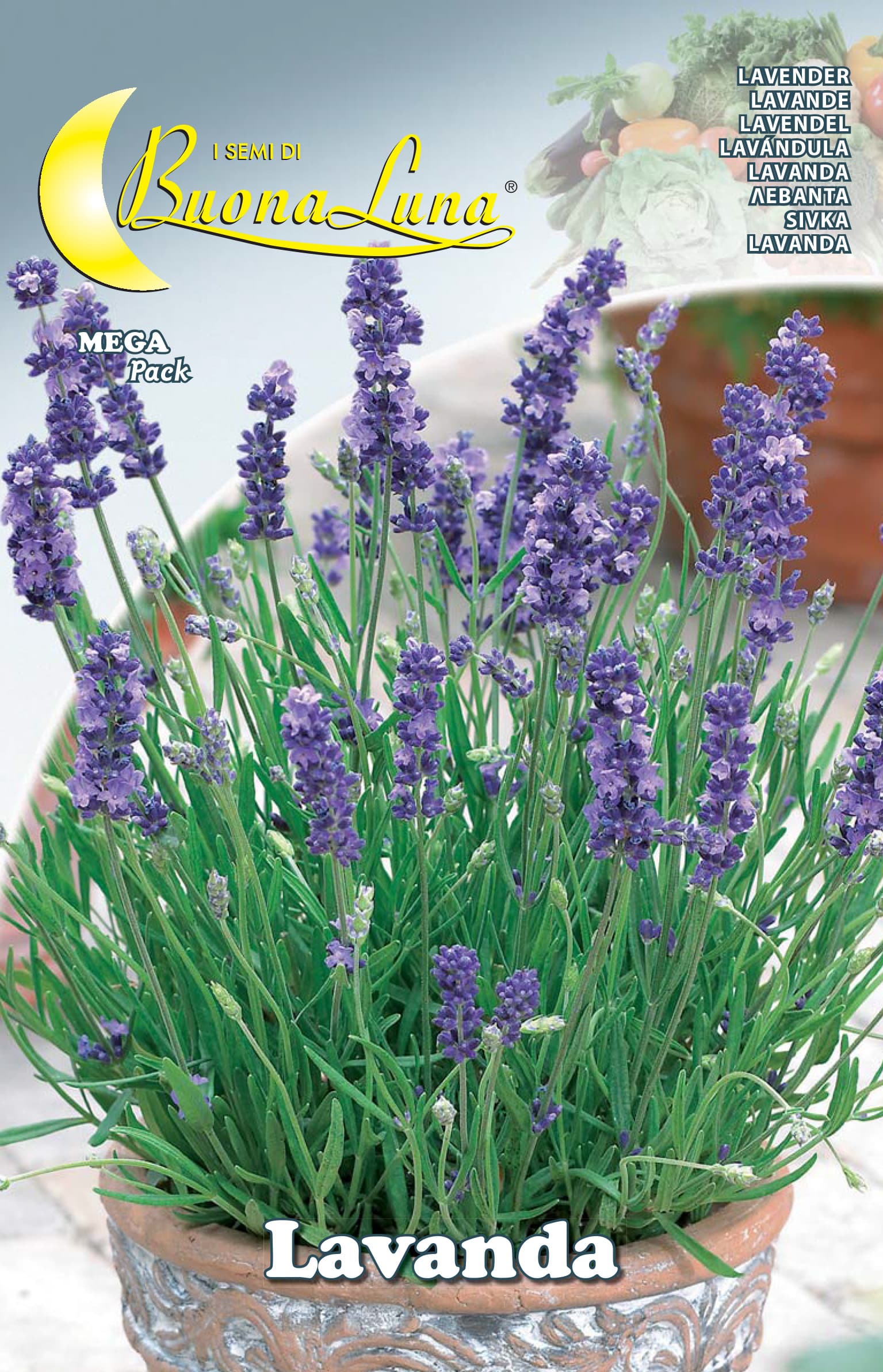 Semi Orto Lavanda Hortus Sementi 10 Pezzi - 2