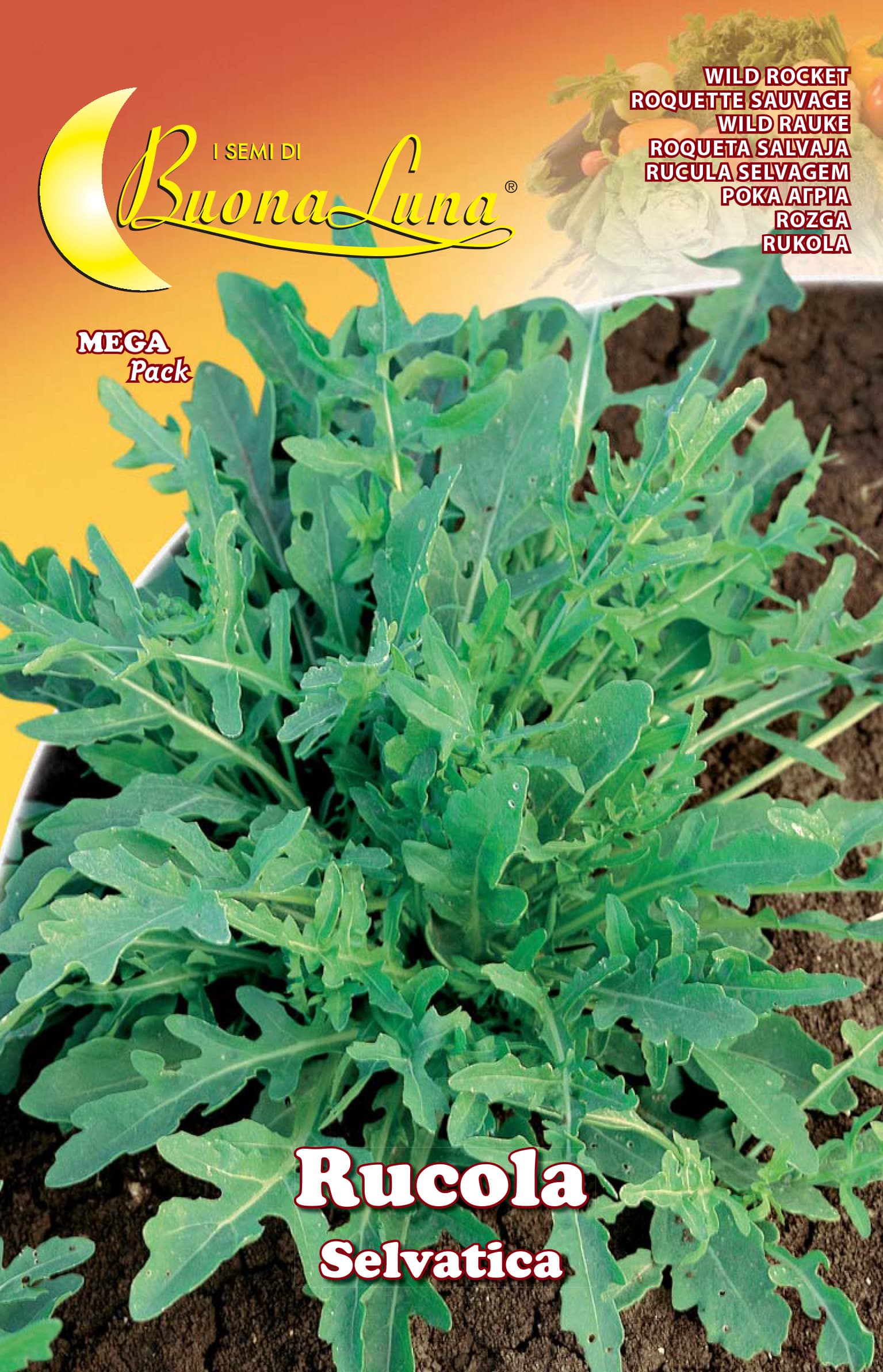Semi Orto Rucola Selvatica Hortus Sementi 10 Pezzi - 2