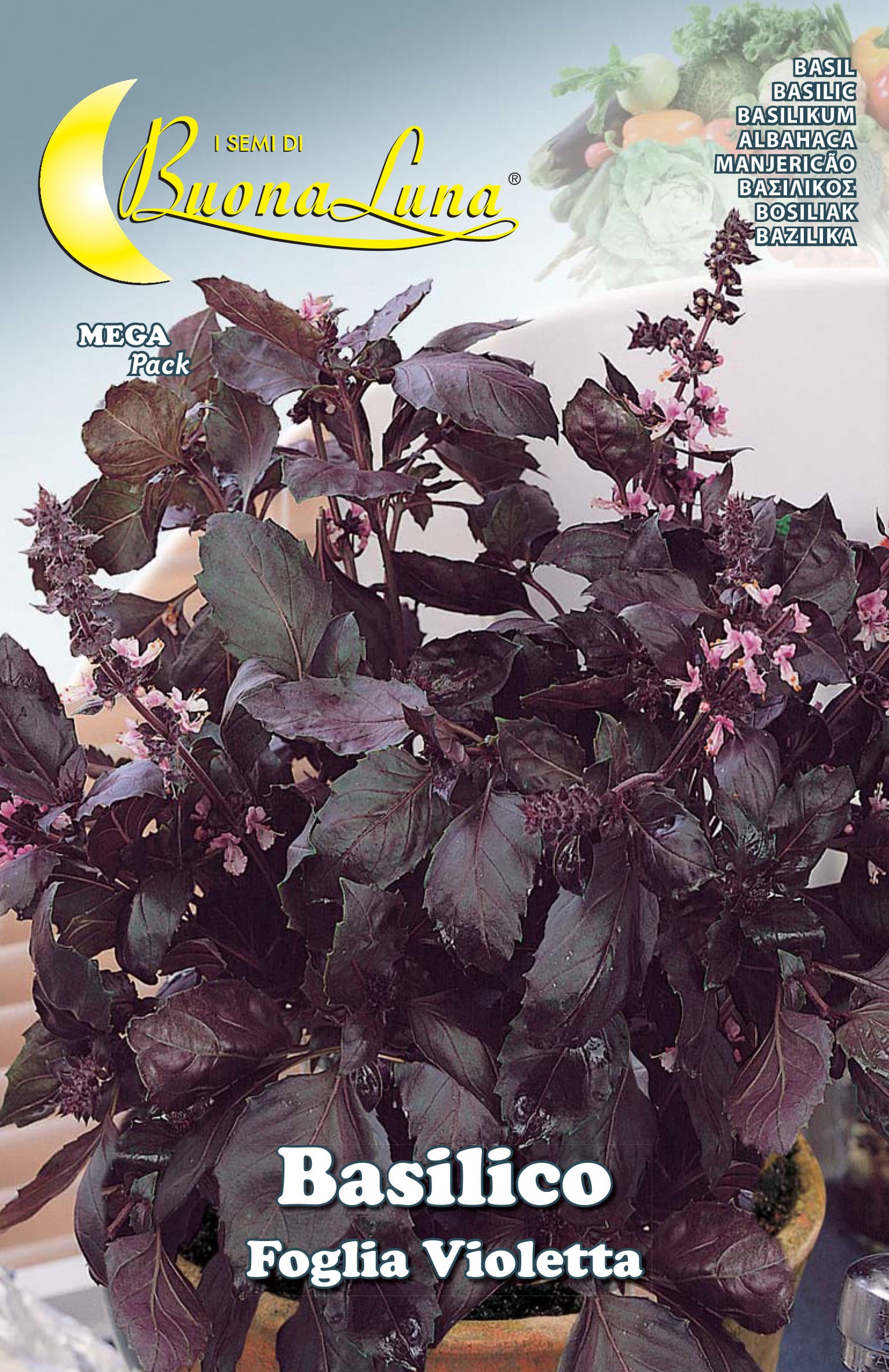 Semi Orto Basilico Foglia Violetta Hortus Sementi 10 Pezzi - 2