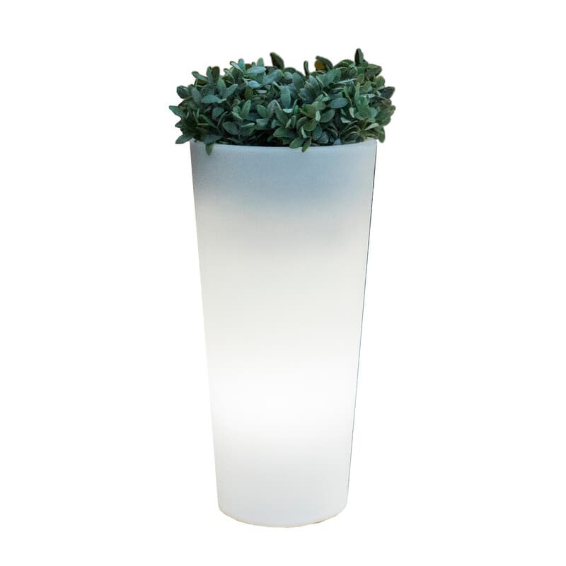 Vaso Solare Ficus LED D 29XH59 Cm Rgb con Telecom - 2