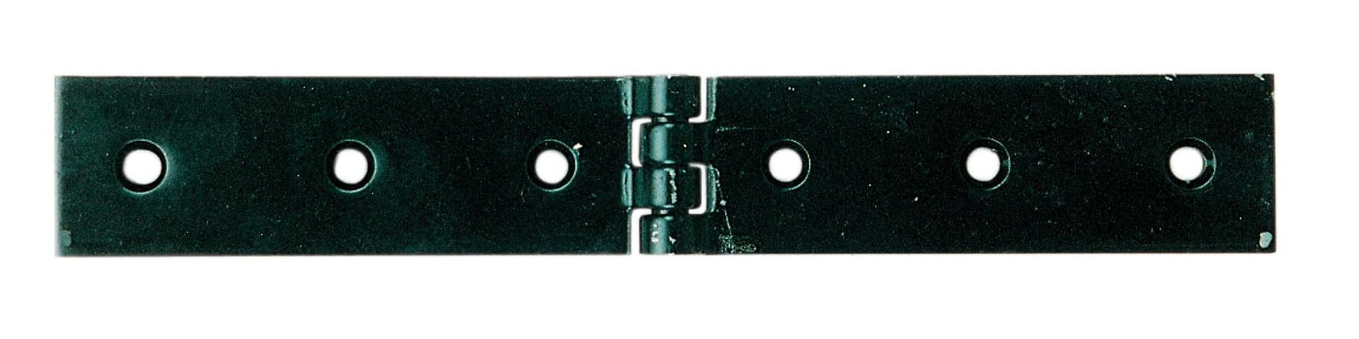 Cerniera a Libretto 200 x 30 mm da Cernierificio Valtoce 6 Blister Bl