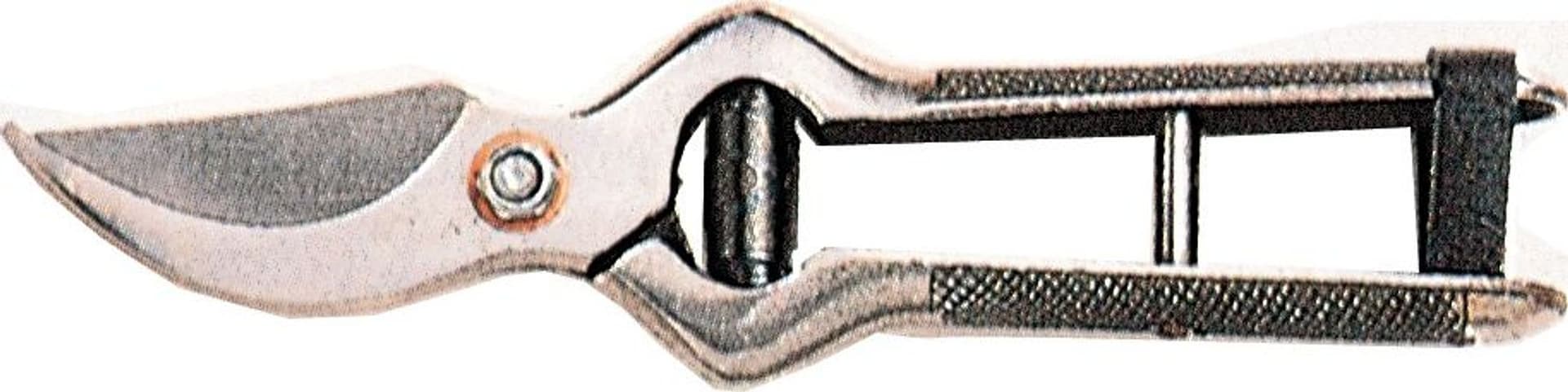 Forbici da Vigna Falci 47.500 18 cm Pl 6 Pezzi - 2