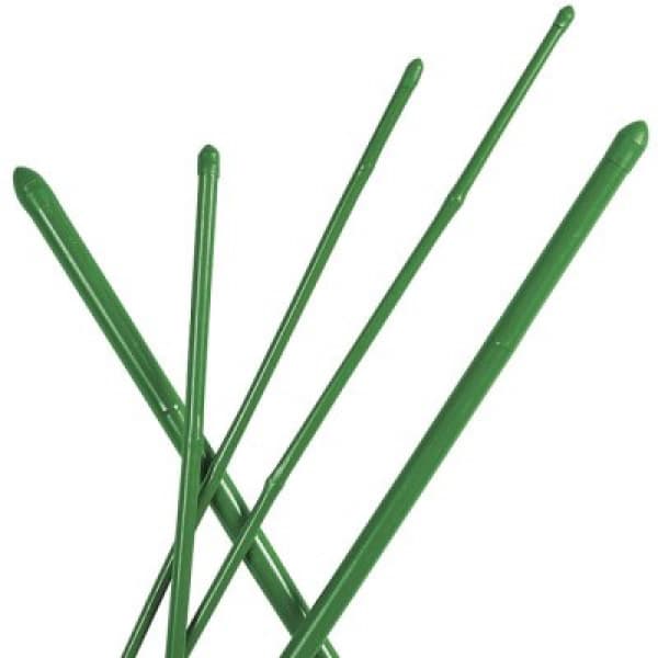 Cannetta Bamboo Plastificato H 180 cm D 18 20 mm - 2