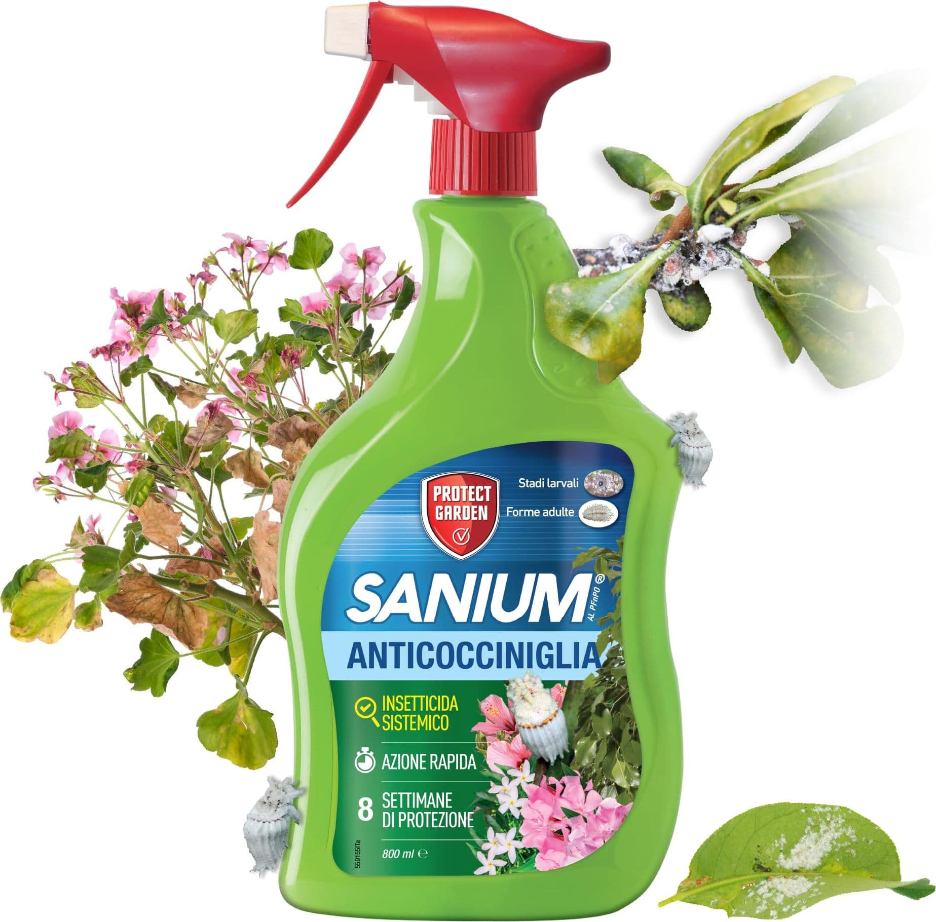 Sbm Insetticida Anticocciniglia Sanium al 800 ml - 2
