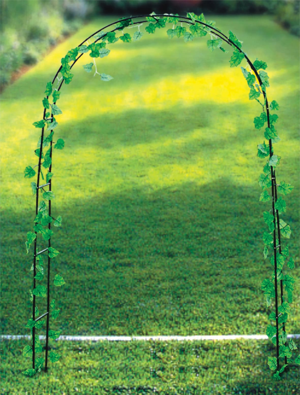 Arco in Metallo per Fiori 140 x 38 x 200 x 240 cm i Giardini del Re - 2