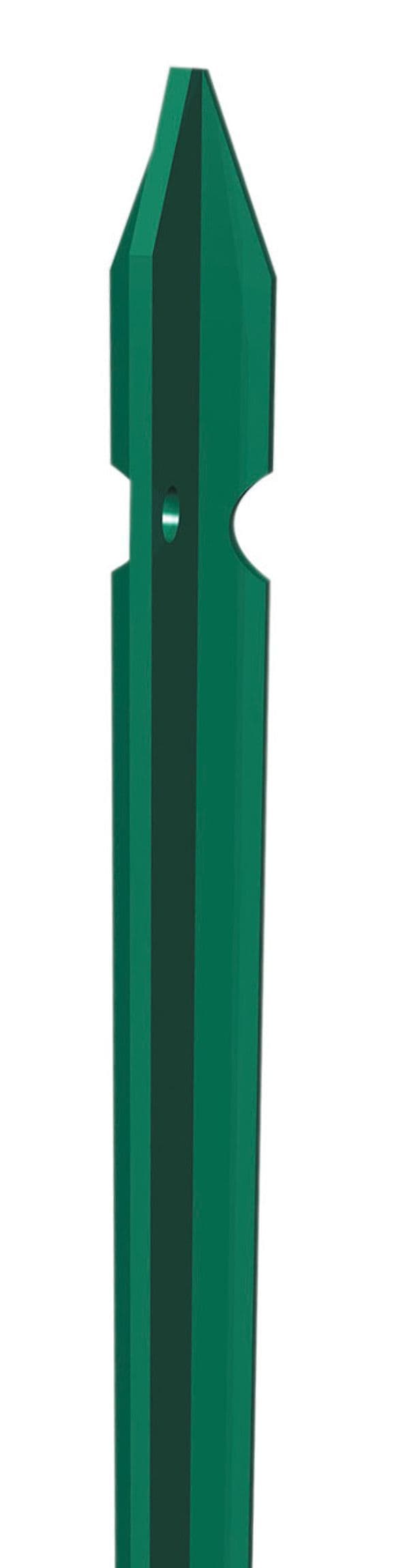 Paletto Plastificato 125 cm T 30 x 3 1,56 kg Sidelamina Sud 10 Pezzi - 2