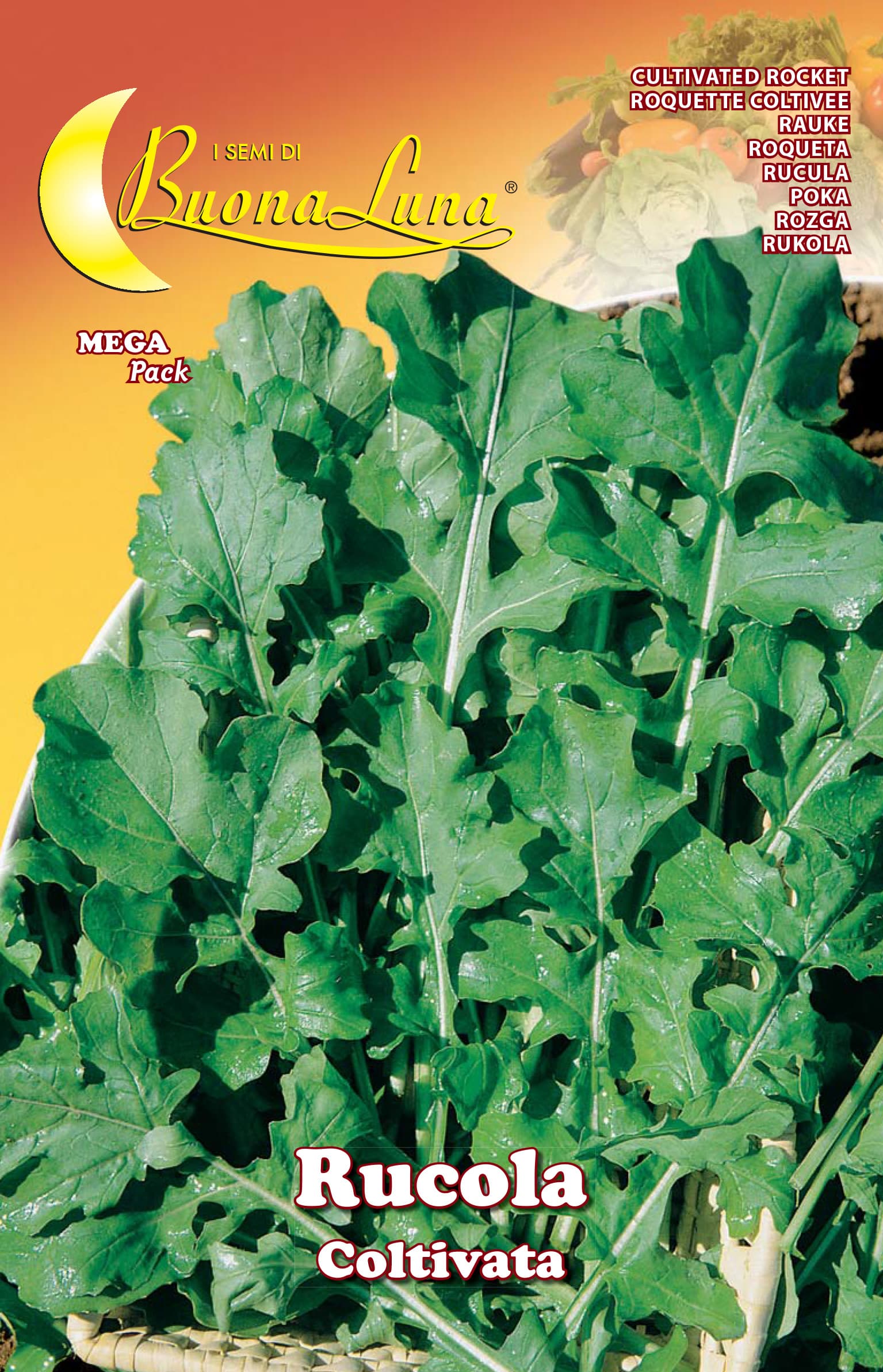 Semi Orto Rucola Coltivata Hortus Sementi 10 Pezzi - 2