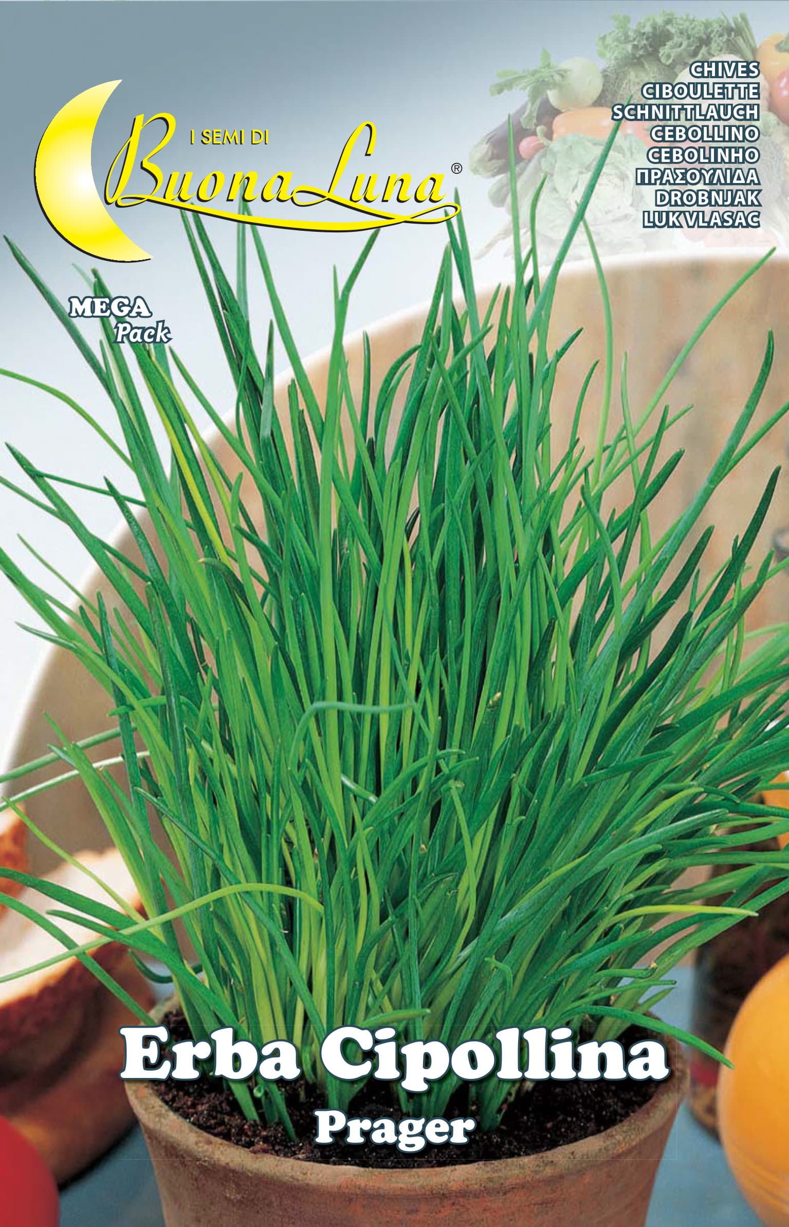 Semi Orto Erba Cipollina Hortus Sementi 10 Pezzi - 2