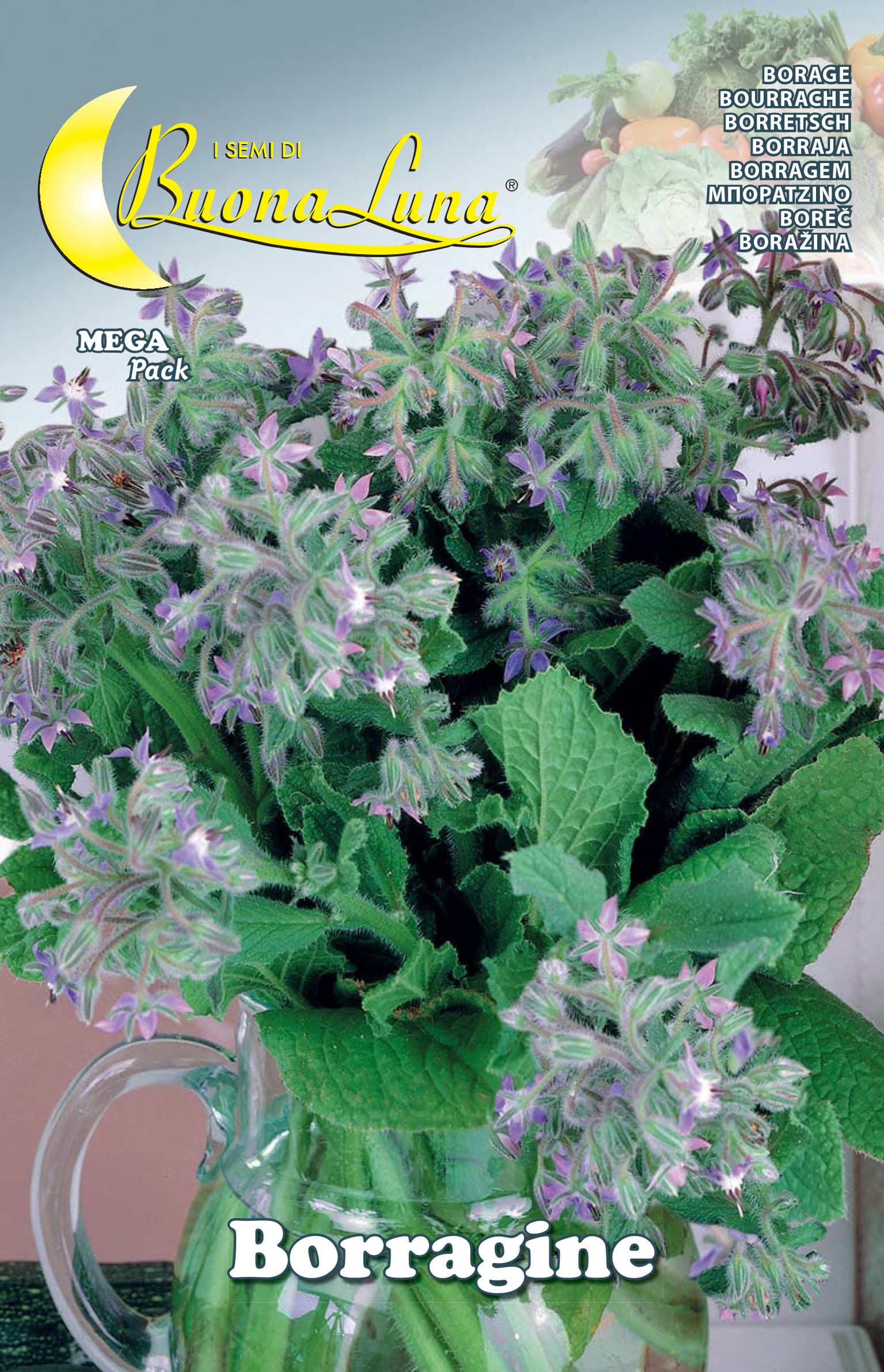 Semi Orto Borragine Hortus Sementi 10 Pezzi - 2
