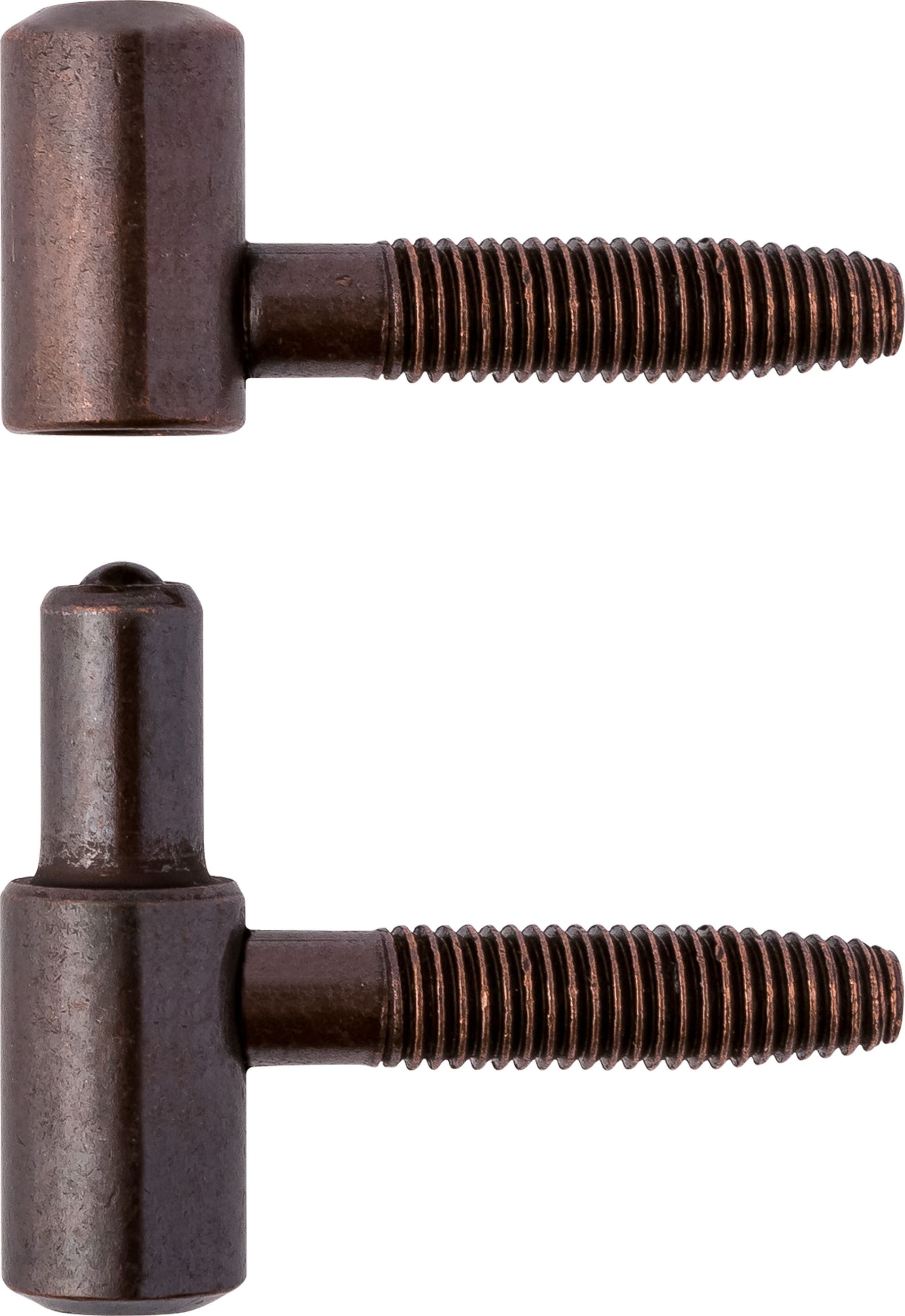 Cerniera Anuba Acciaio Bronzato Ø 13 mm** 100 Pezzi - 2