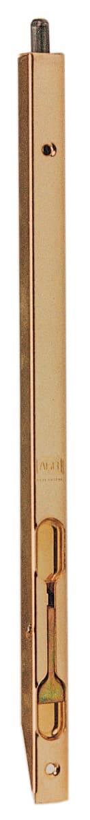 Bl Catenaccio a Leva Incasso Ottonato 300 mm 5,0 Blister - 2