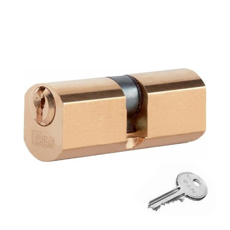 Cilindro Tondo 54 mm 27 e 27 D.22 Iseo F5 8400 Iseo Serrature - 2
