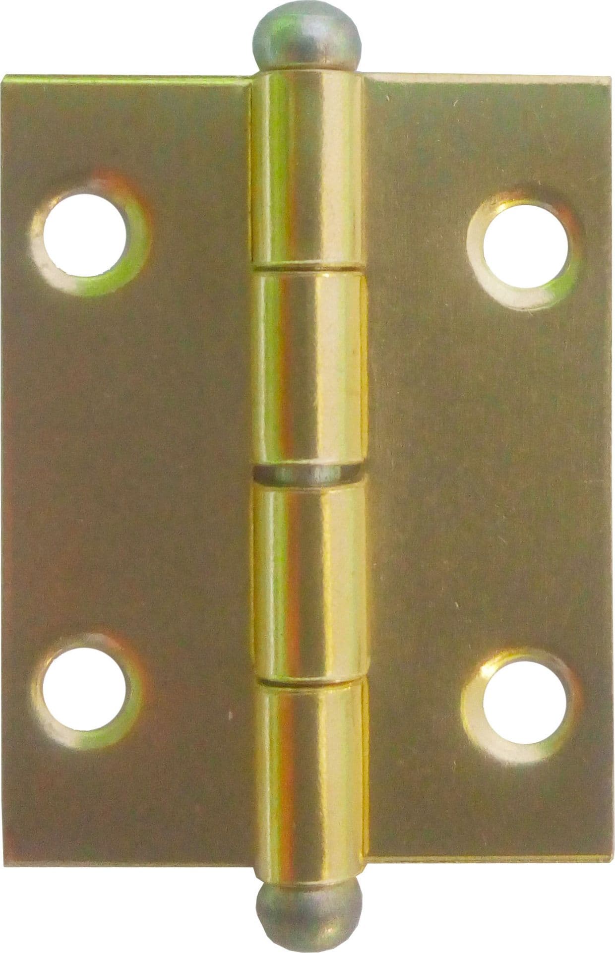 Cerniera Perno Sfilabile Acciaio Ott 20 x 30 mm** 50 Pezzi - 2