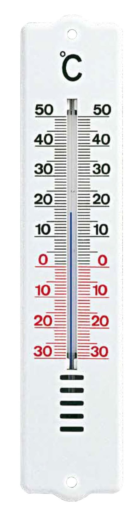 Termometro in ABS 20,5 x 4,5 cm 101032 Moller Therm - 2