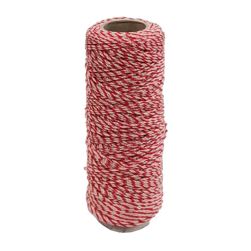 Lenza per Muratore in PP Bianco Rosso 100 m 5 Pezzi - 2