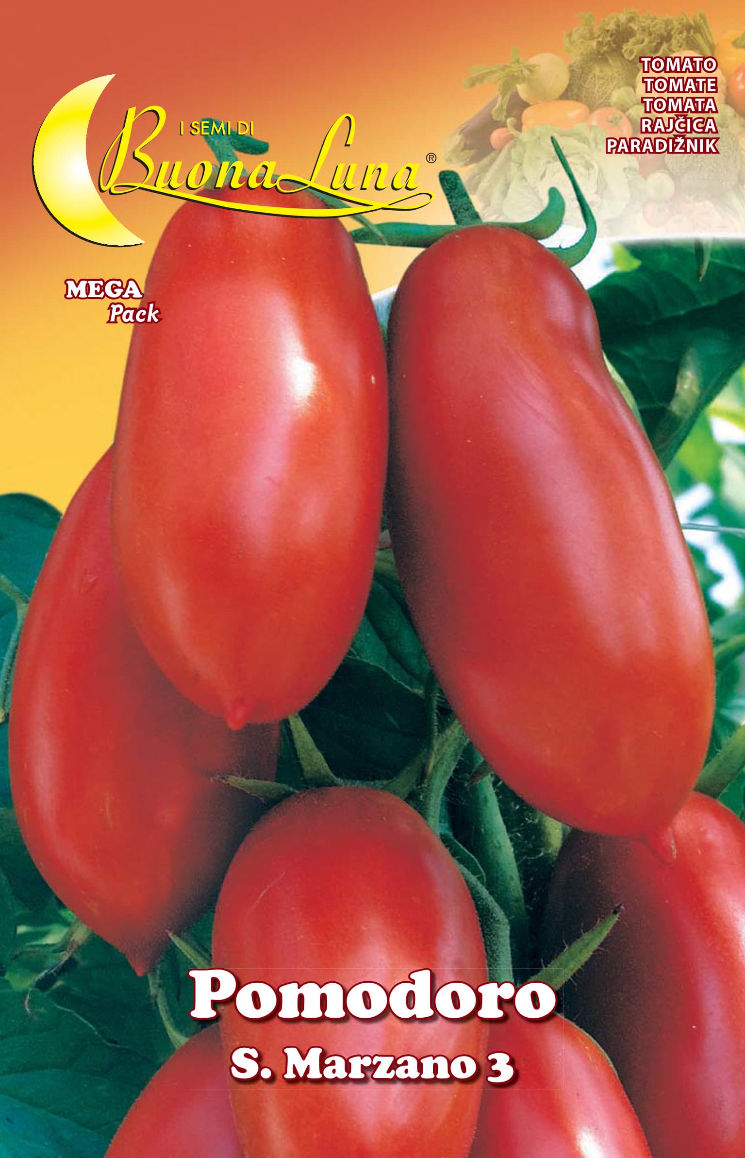 Semi Orto Pomodoro S. Marzano Hortus Sementi 10 Pezzi - 2