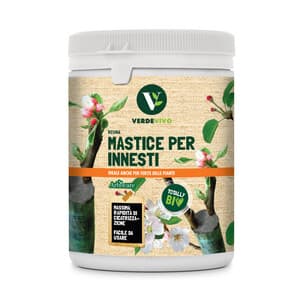 Mastice per Innesti Arbokol 1 kg - 2