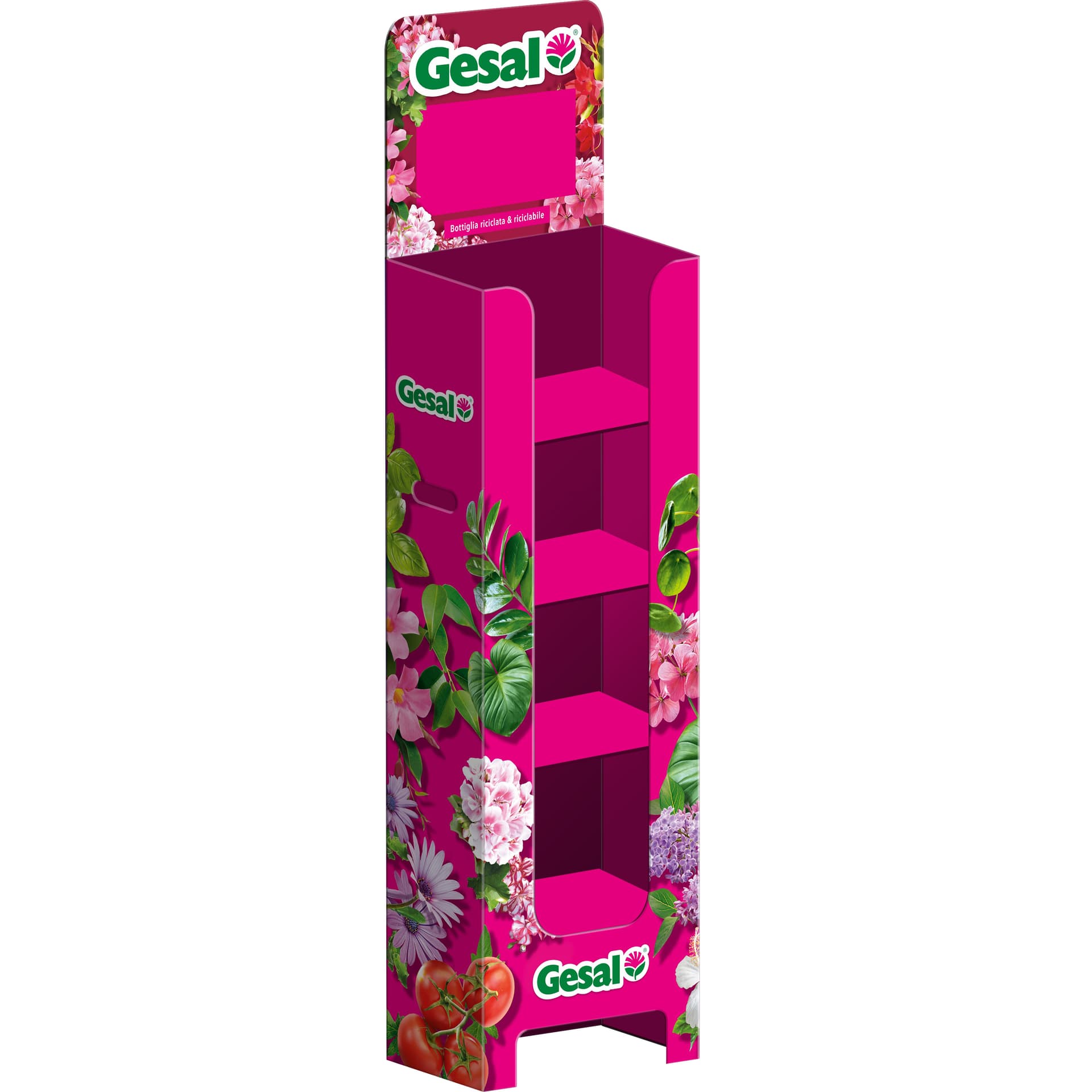 Gesal Espositore Vuoto - 2
