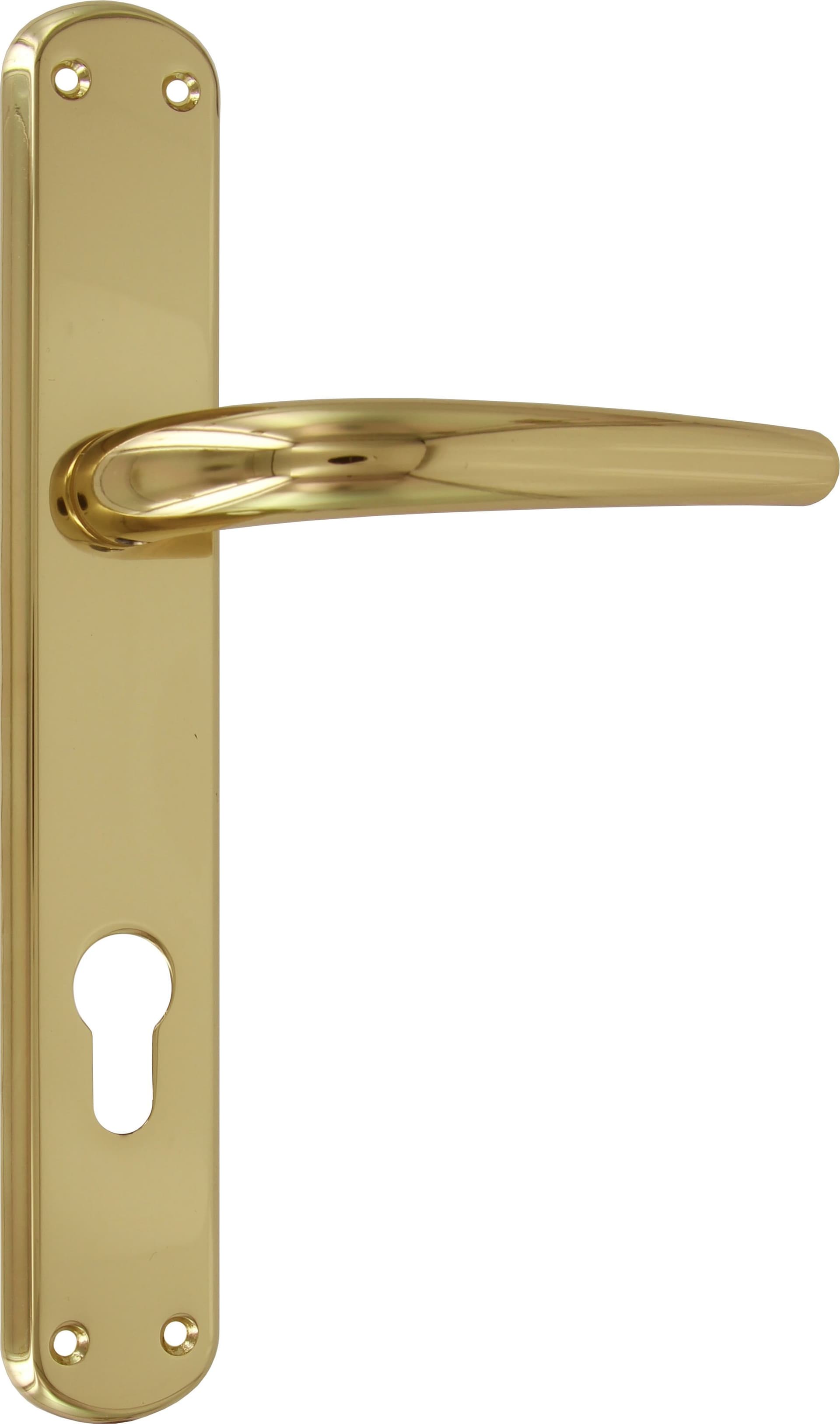 Maniglia Torino Q 8 F.y. ART.160P Oro Lucido Frosio Bortolo - 2