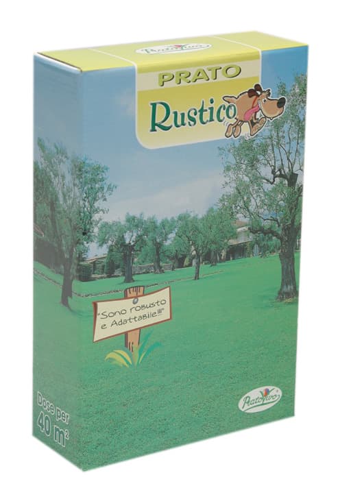 Semi Prato Rustico 1 kg Hortus Sementi - 2