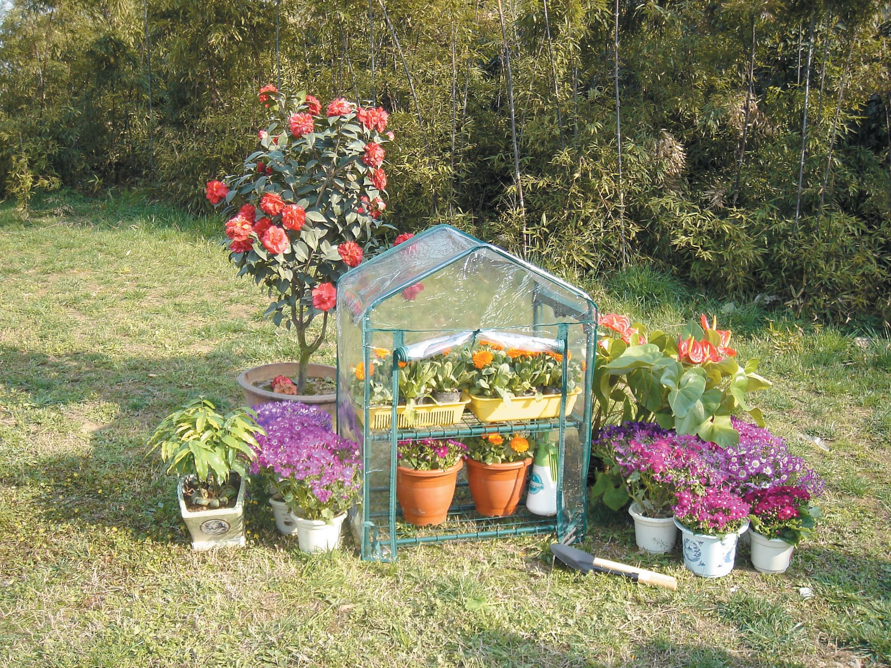 Serra da Giardino Acciaio con Telo 69 x 49XH95 Cm gli Specialisti del Verde - 2