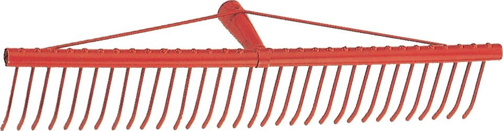Rastrello a 34 Denti Piatti in Ferro per Erba 60 cm - 2