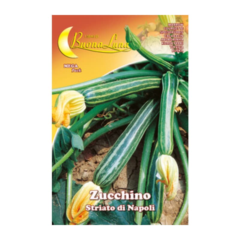 Semi Orto Zucchino Striato Napoli Hortus Sementi 10 Pezzi - 2