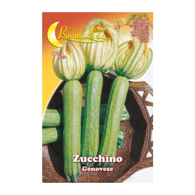 Semi Orto Zucchino Genovese Hortus Sementi 10 Pezzi - 2