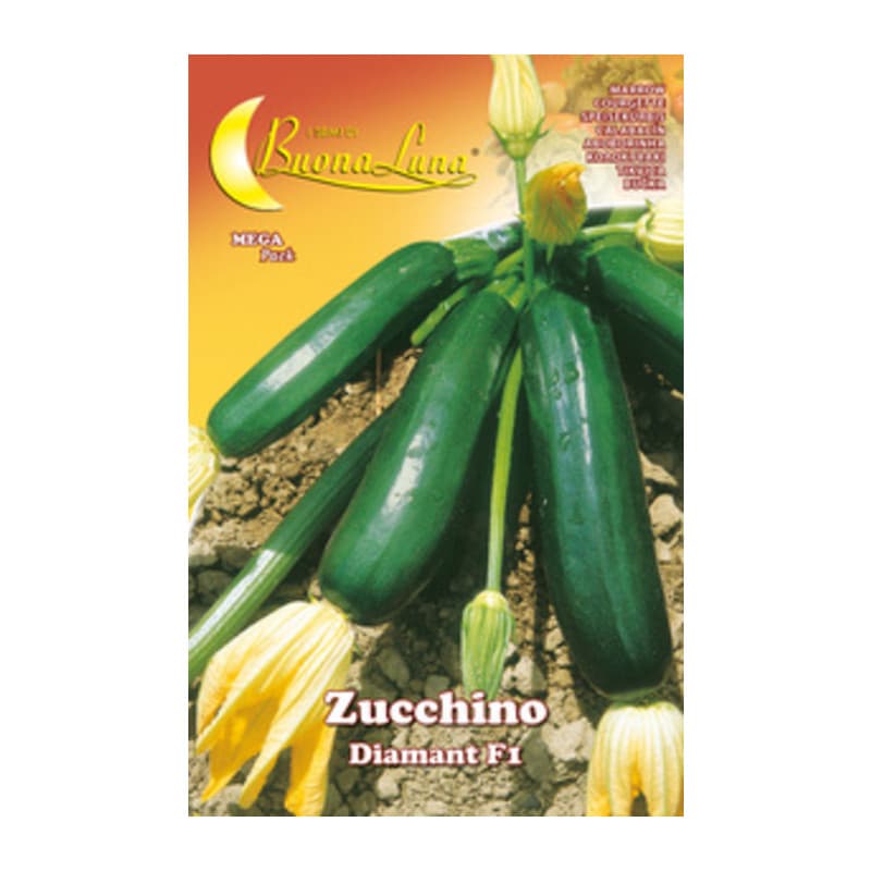 Semi Orto Zucchino Diamant Hortus Sementi 10 Pezzi - 2