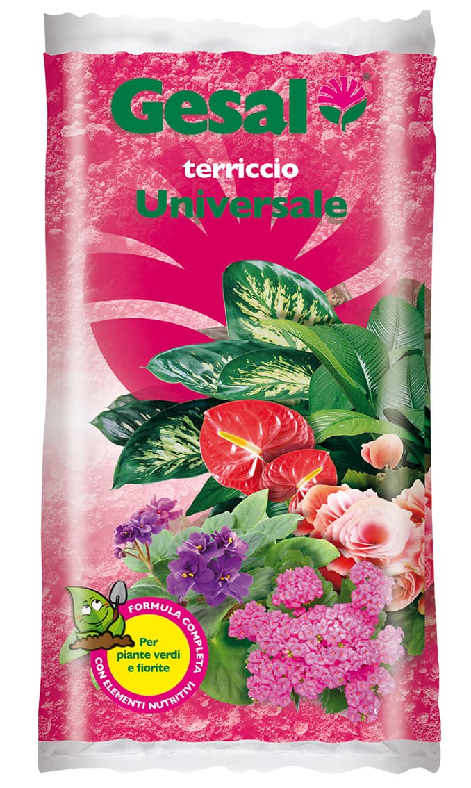 GESAL TERRICCIO UNIVERSALE 10 L- COMPO ITALIA- 1,0 pz - 2
