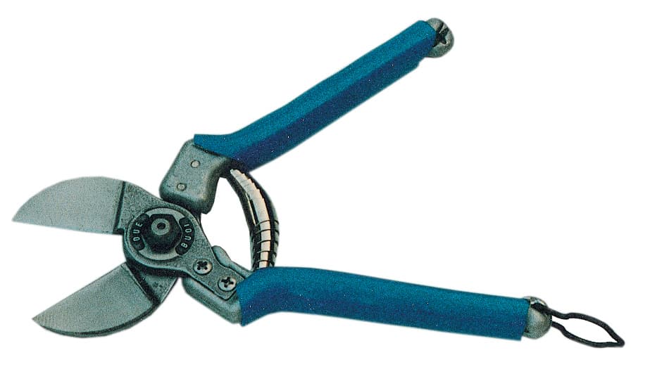 Forbici Frutteto Due Buoi 135 20 cm - 2
