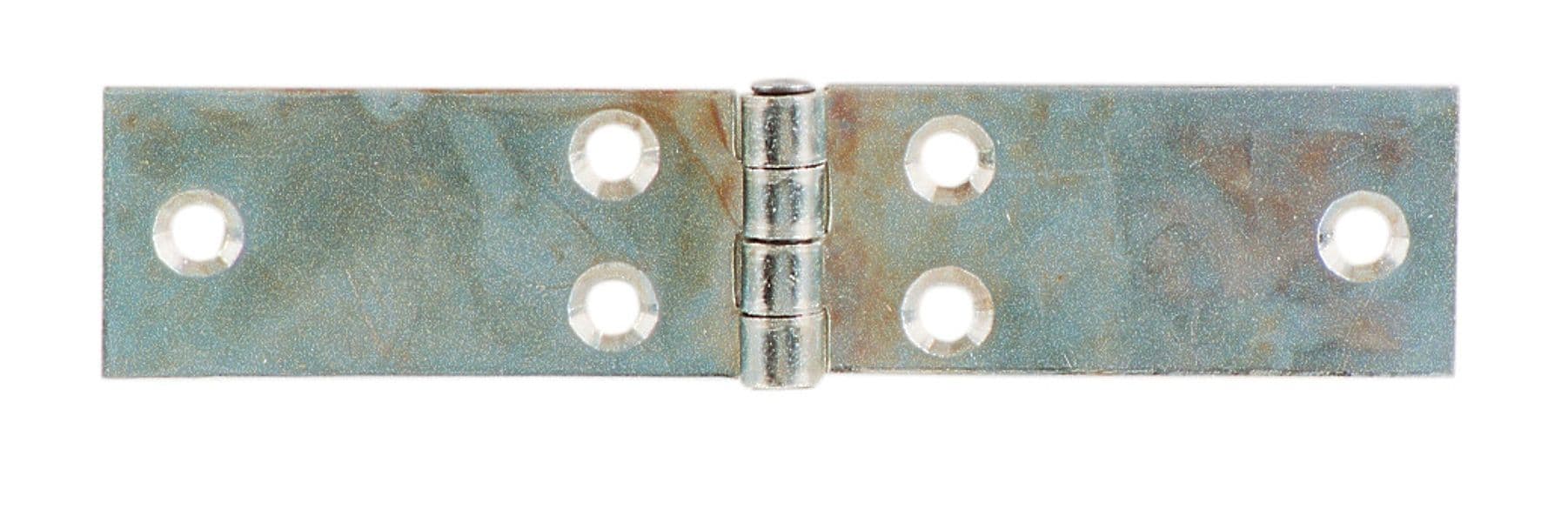 Cerniera Perno Fisso Lunga Acc Zinc 100 x 25 mm* Aldeghi Luigi Spa 24 Pezzi