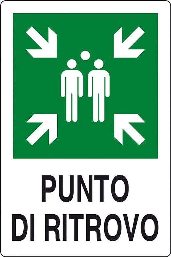 Targa Punto di Ritrovo 300 x 200 Alluminio Norma Eu - 2