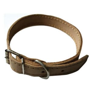 Collare per Cani in Pelle 12 x 330 mm 6 Pezzi - 2