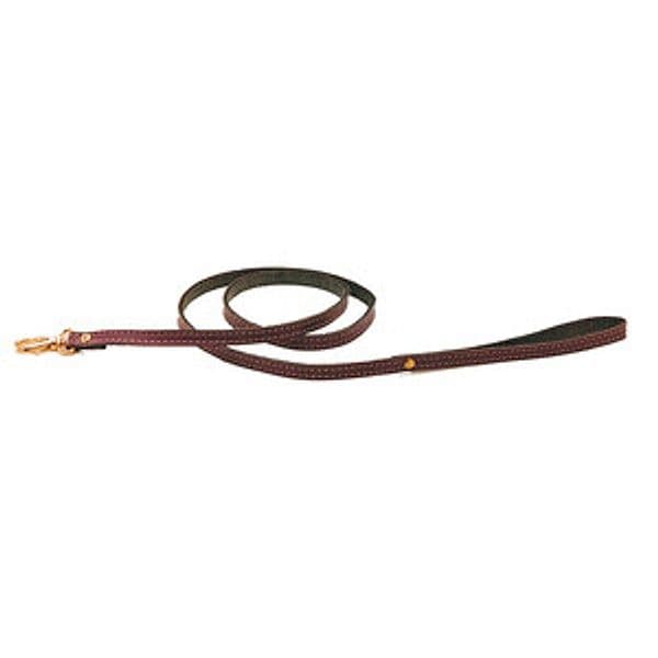 Guinzaglio per Cani in Pelle 10 mm x 110 cm 6 Pezzi - 2