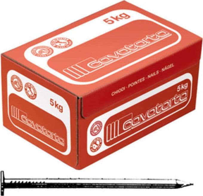 Chiodi Testa Piana 17 x 70 Cavatorta 5 kg - 2